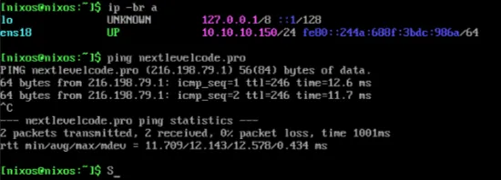 Recorte do console da VM NixOS com o IP 10.10.10.150 e o resultado do ping para nextlevelcode.pro